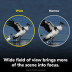 Nikon Action 10x42 Binocular | Multilayer-Coated Nikon Optics, Bright, Wide View, 10x (additional view 9)