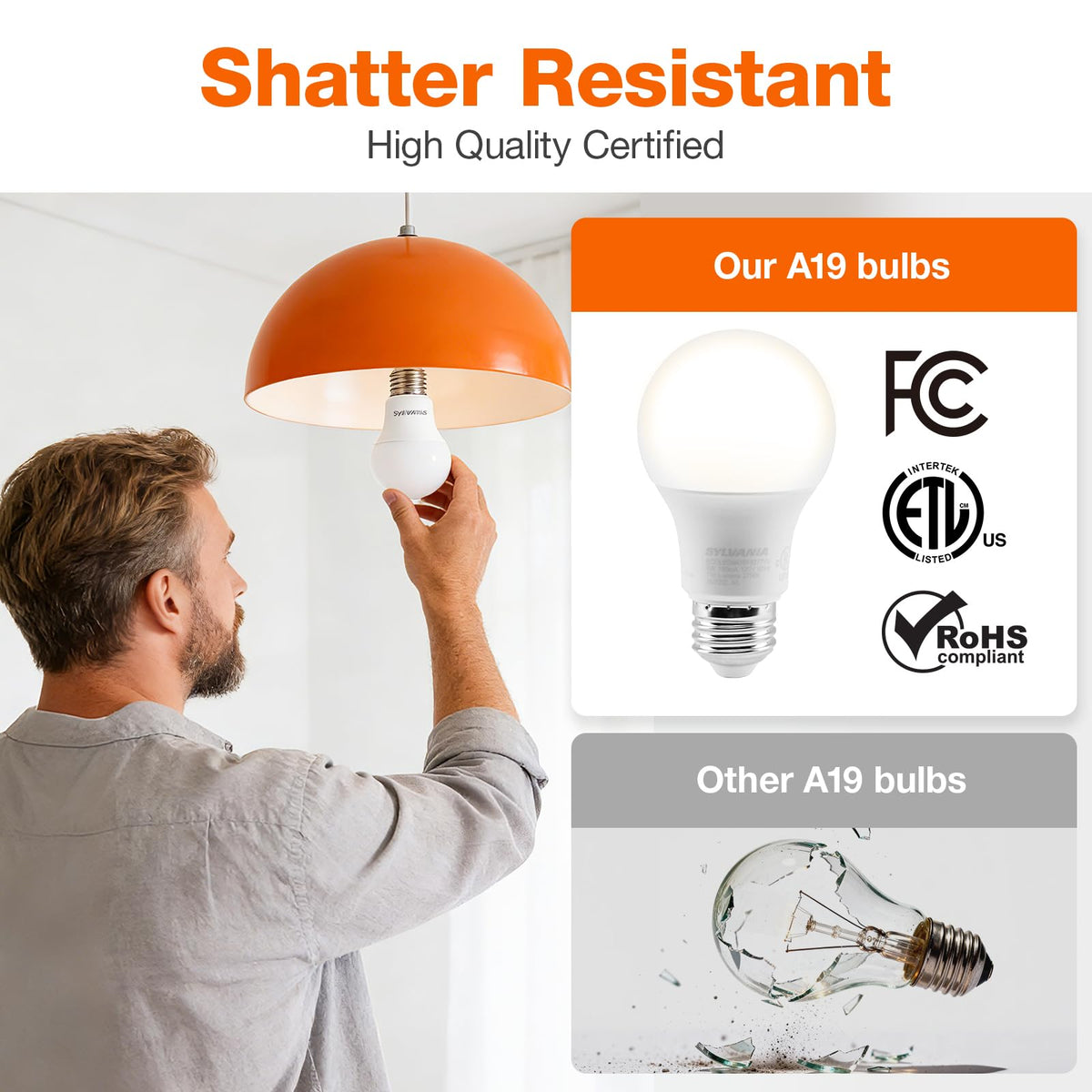 LEDVANCE Sylvania ECO LED A19 Light Bulb