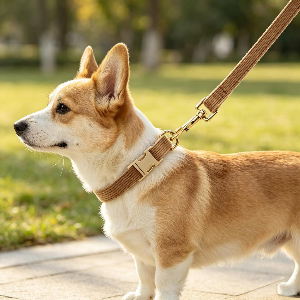 YUDOTE Corduroy Dog Collar and Leash Set - view 31
