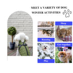 Furry King Dog Winter Coat with Harness, Waterproof, Fleece Lined - view 4