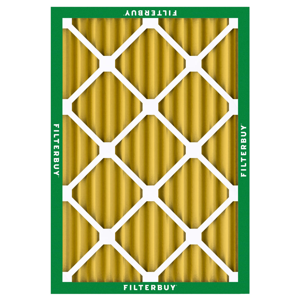 Filterbuy Air Filter MERV 11 Pet & Allergy Defense (2-Pack)