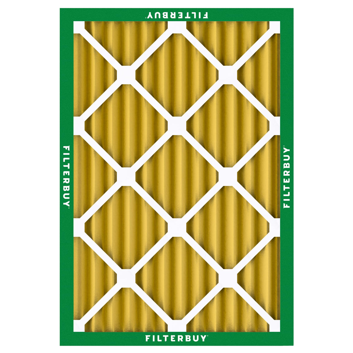 Filterbuy Air Filter MERV 11 Pet & Allergy Defense (2-Pack)