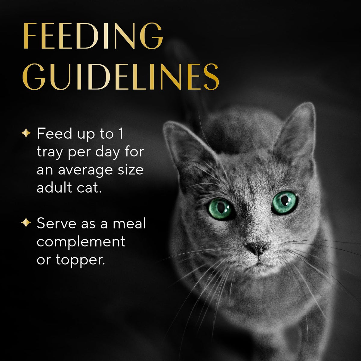 Sheba Selections Filets Wet Cat Food Complement, Variety, 1.3 oz, 8 ct, 2pk (Pack of 2)