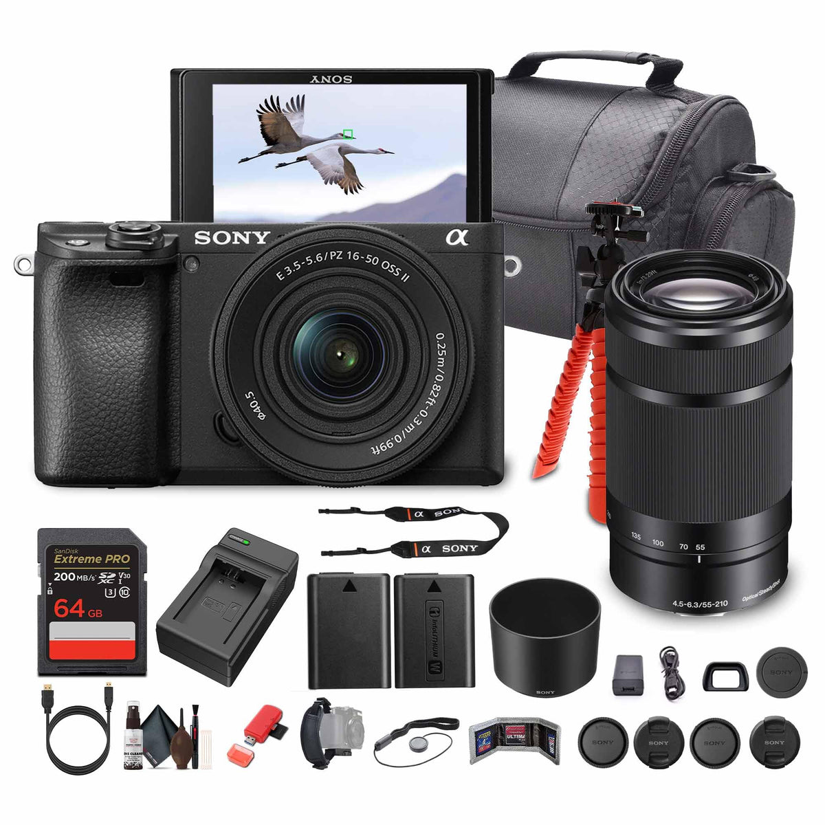 Sony Alpha a6100 Mirrorless Camera 16-50mm & 55-210mm Dual Lens Bundle (ILCE6100XB_EDI_1) (Pack of 16)