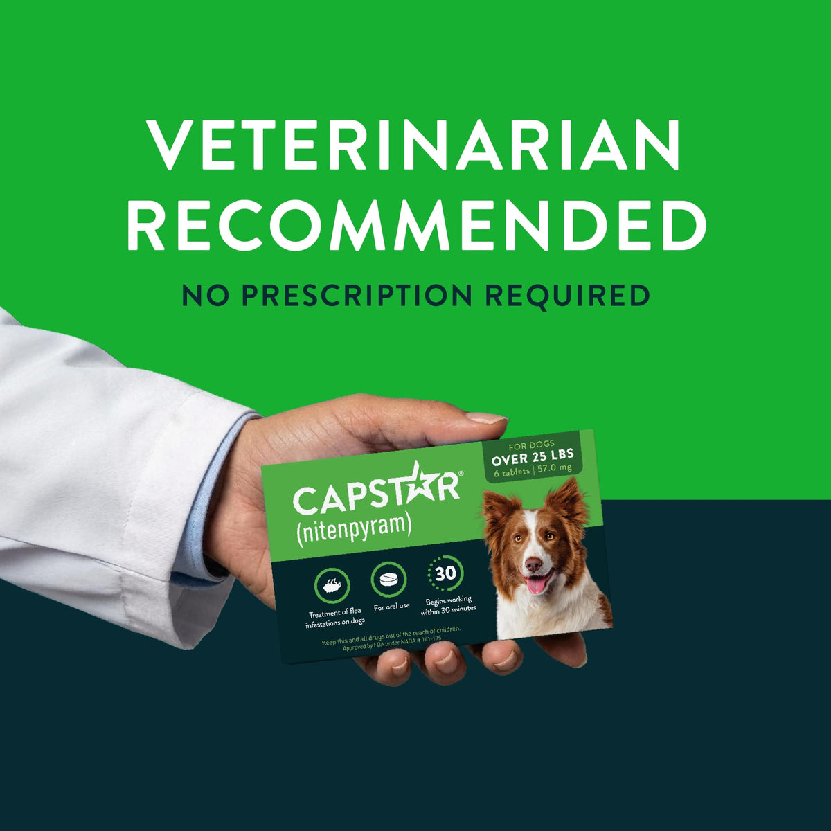 Capstar(nitenpyram) for Dogs Fast-Acting Oral Flea Treatment for Dogs Over 25 lbs, Vet-Recommended Medication Tablets