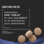 Pro Plan Veterinary Diets Purina Pro Plan Vet Supplements FortiFlora Dog Probiotic Tablets, – 90 ct