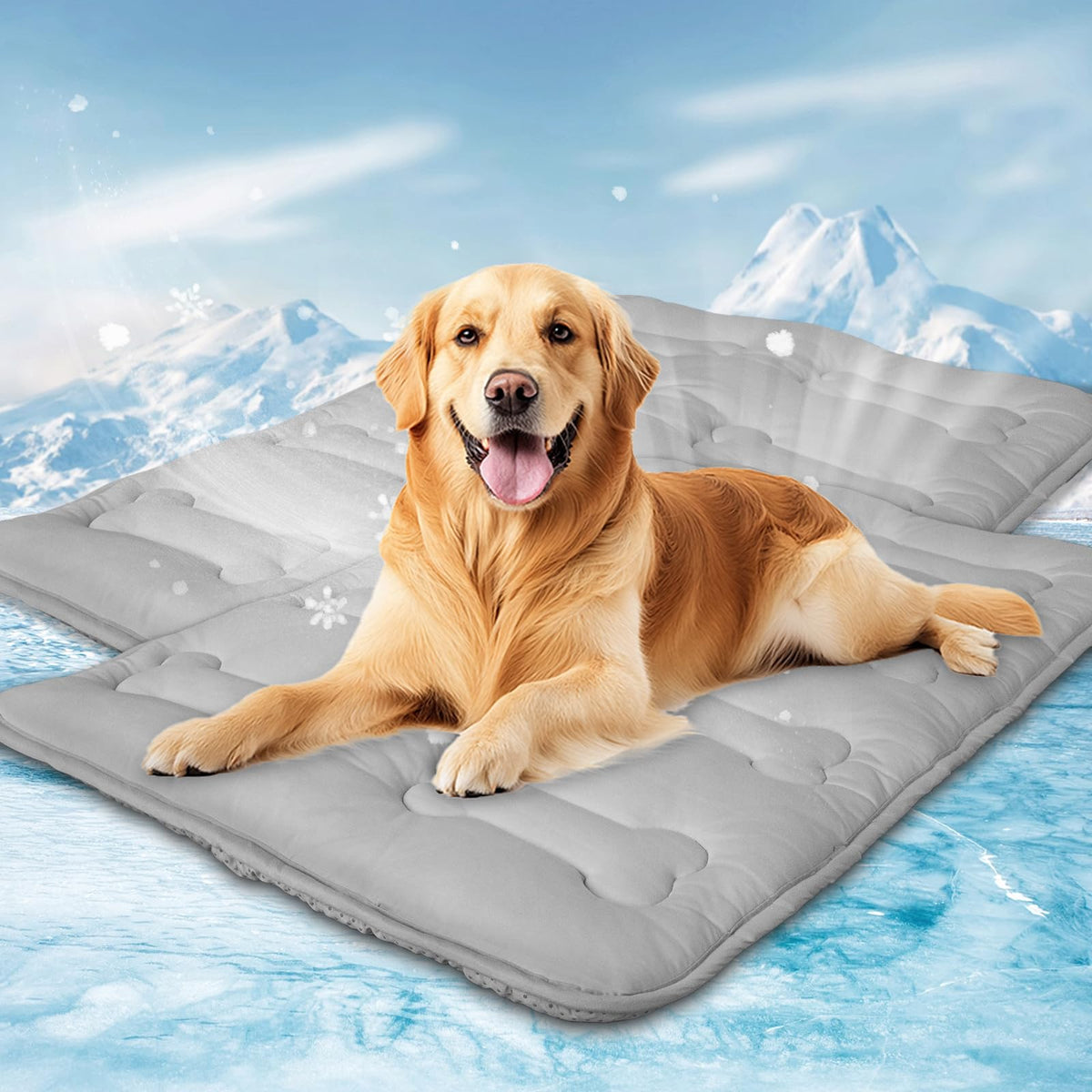 Summer Dog Cooling Mat 2 Pack - Large