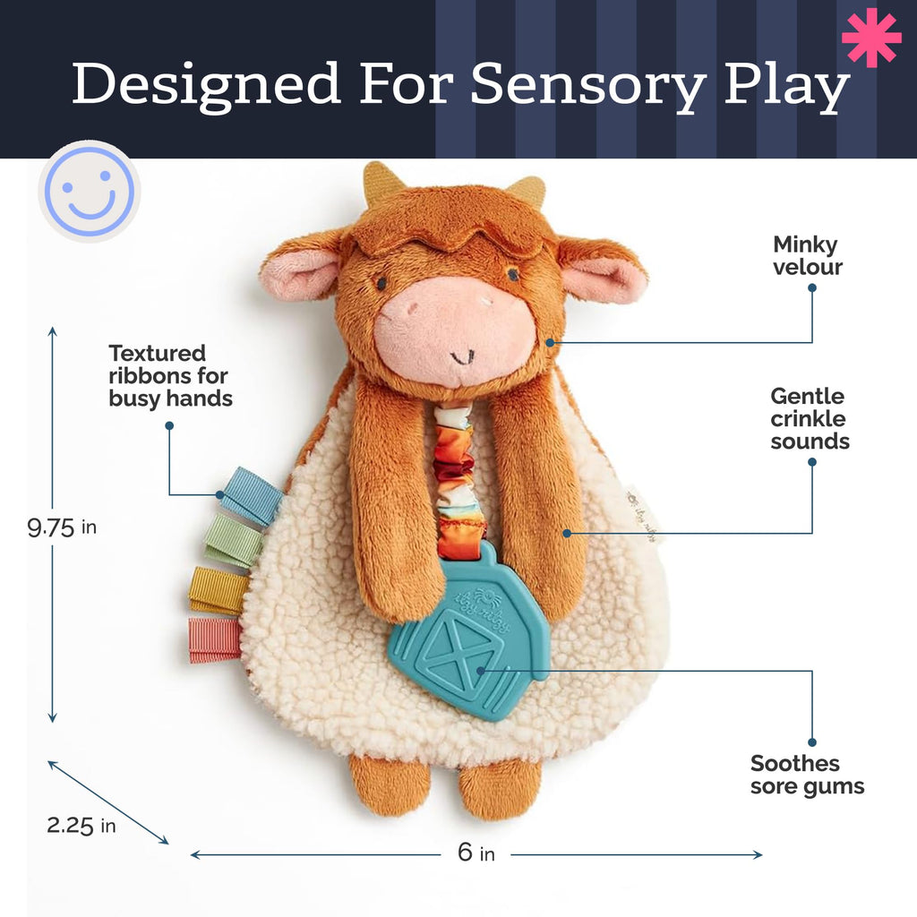 Itzy Ritzy Lovey Including Teether, Teething Relief