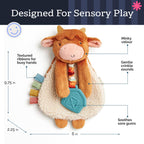 Itzy Ritzy Lovey Including Teether, Teething Relief