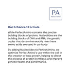 BodyHealth PerfectAmino Powder - BCAA and EAA Powder for Pre and Post Workout - Amino (additional view 3)