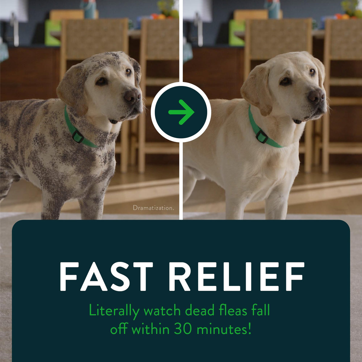 Capstar(nitenpyram) for Dogs Fast-Acting Oral Flea Treatment for Dogs Over 25 lbs, Vet-Recommended Medication Tablets