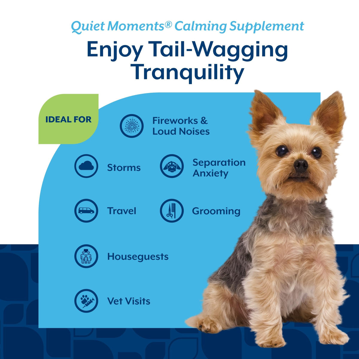 NaturVet Quiet Moments Calming Aid Scoopables for Dogs - 11oz