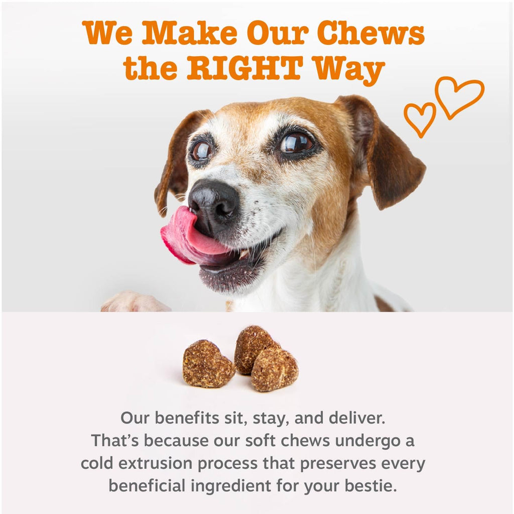 Zesty Paws Hip and Joint Supplement for Dogs