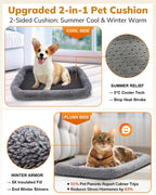 Morpilot Pet Travel Cat Carrier
