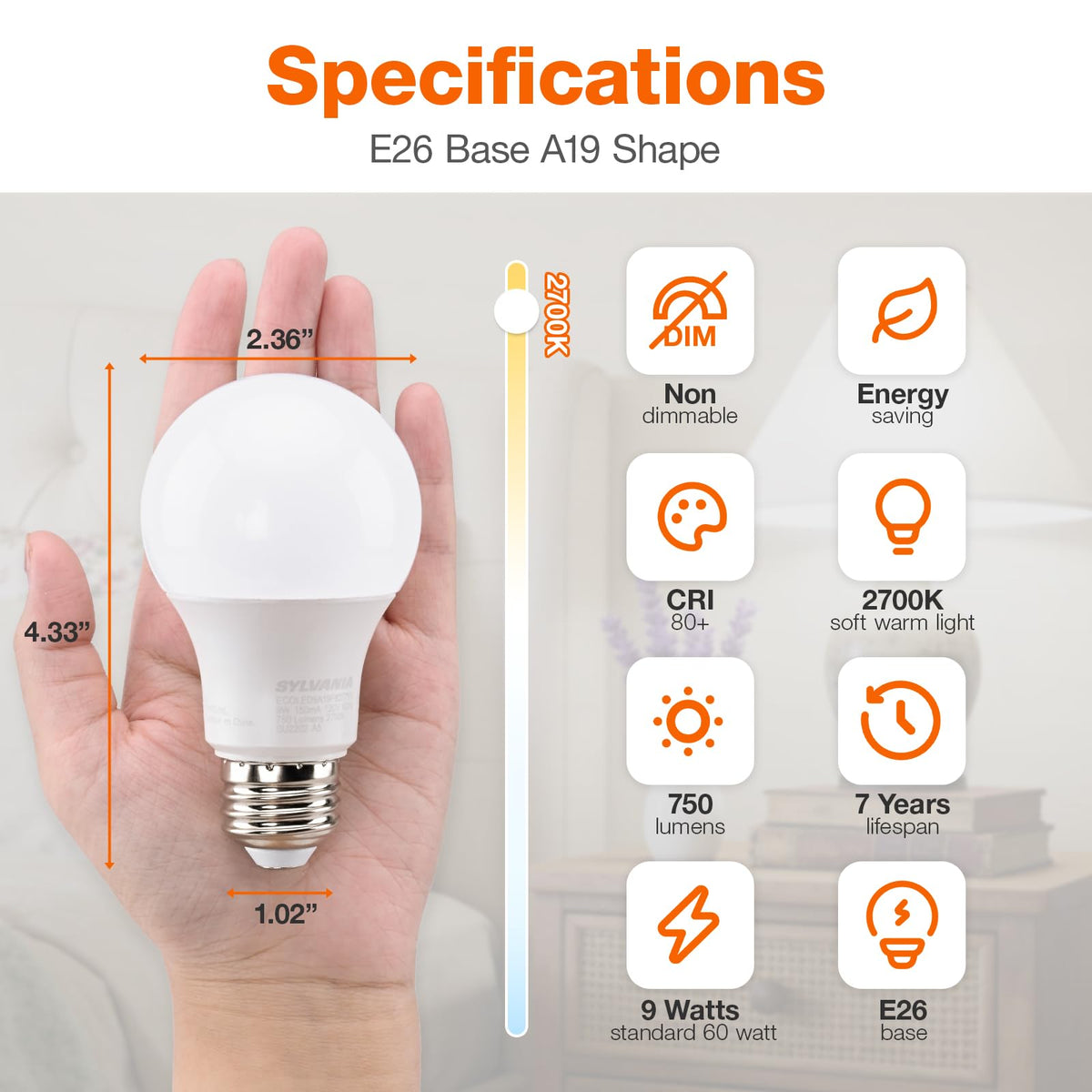 LEDVANCE Sylvania ECO LED A19 Light Bulb