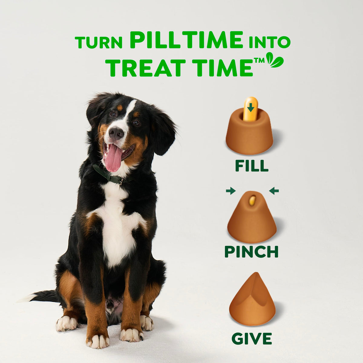 Greenies Pill Pockets Large Size Dog Treats