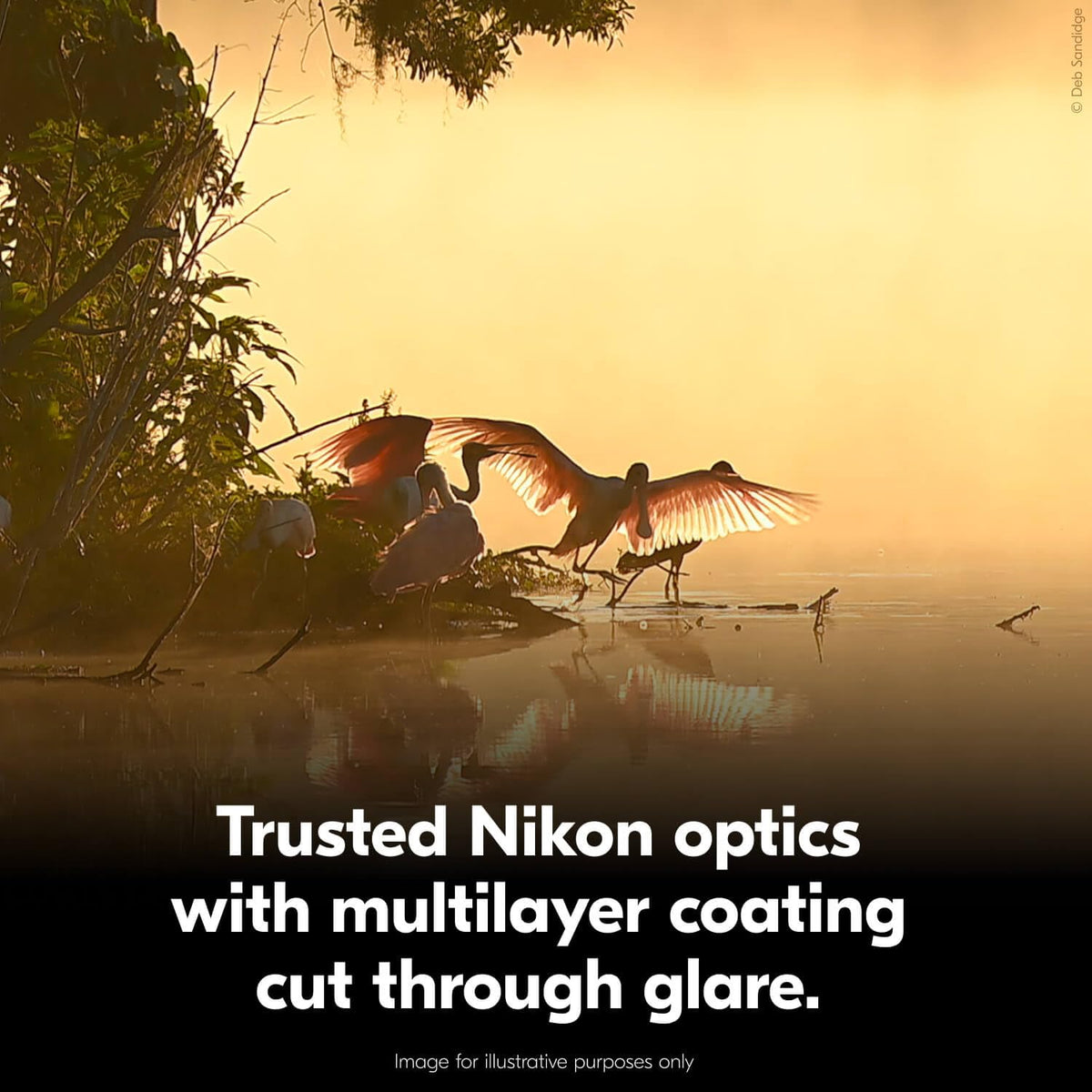 Nikon Action 10x42 Binocular | Multilayer-Coated Nikon Optics, Bright, Wide View, 10x (additional view 8)