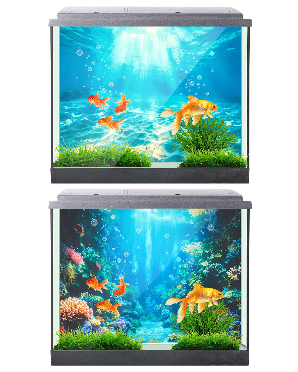 Mindsoft 4 Pack Aquarium Background - 11.8 x 11.8 Inch view 5