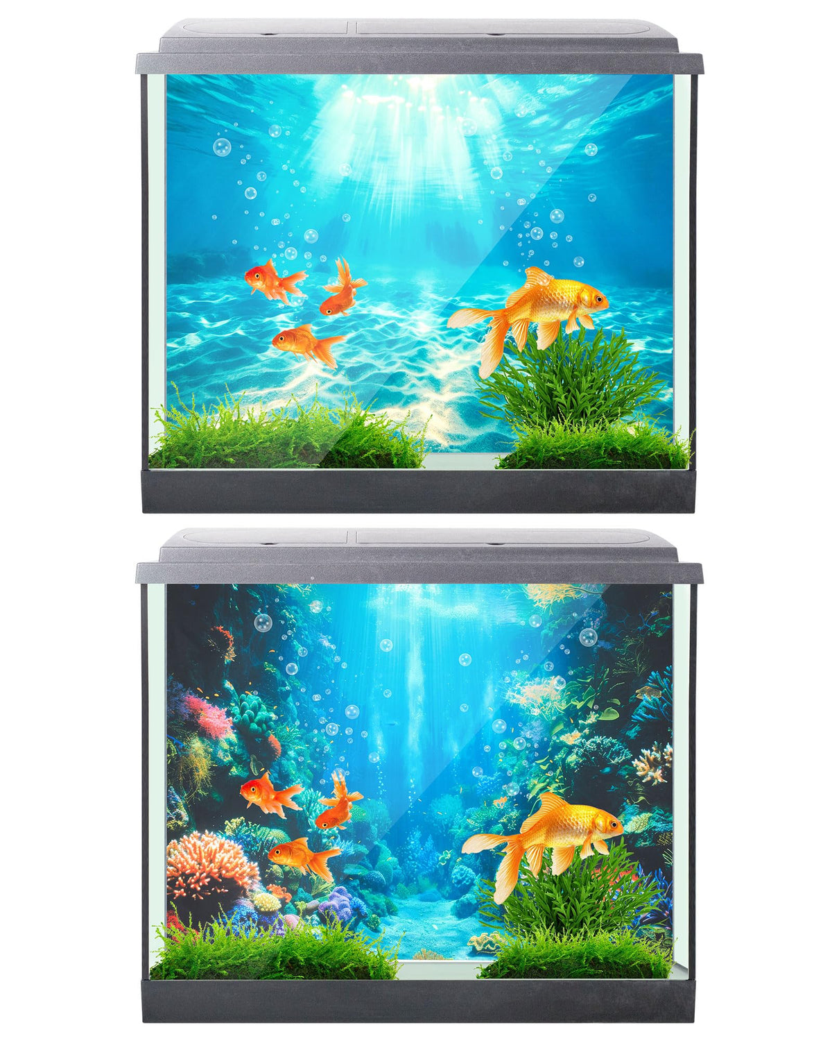 Mindsoft 4 Pack Aquarium Background - 11.8 x 11.8 Inch view 5