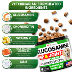 Vet Promise Glucosamine for Dogs - Hip and Joint Supplement for Dogs, Chondroitin & MSM (MN)