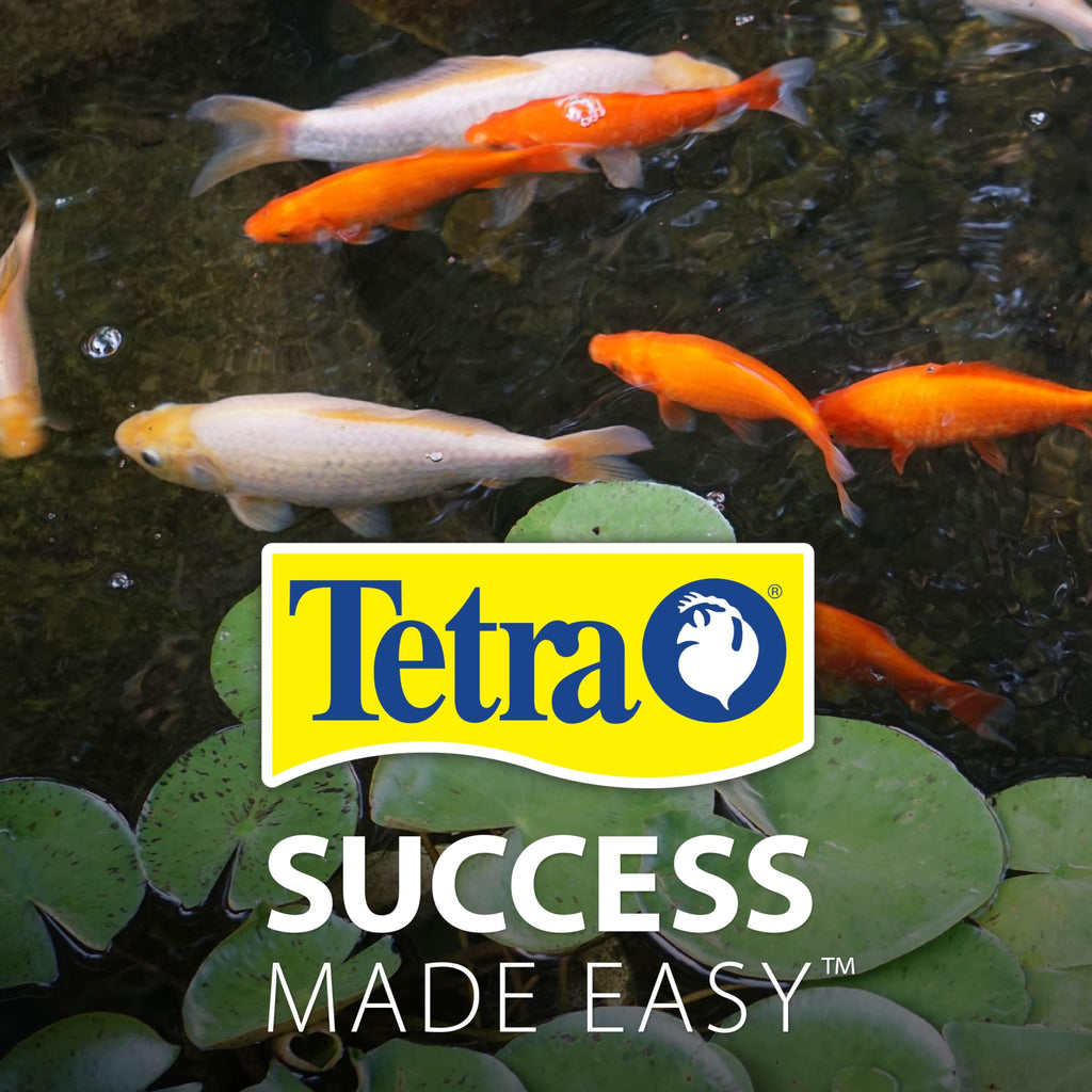 TetraPond Spring & Fall Diet Floating Pond Sticks, 1.72-Pound (additional view 8)