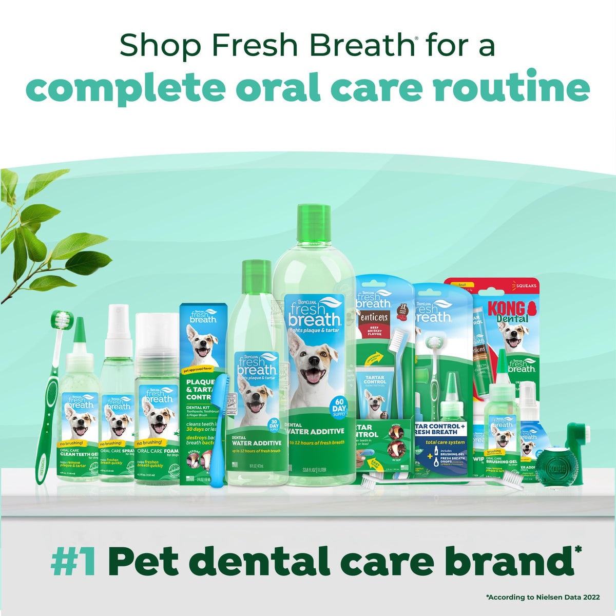 TropiClean Fresh Breath Water Additive for Hip & Joint Support, 33.8oz (FBHJWA33.8Z)
