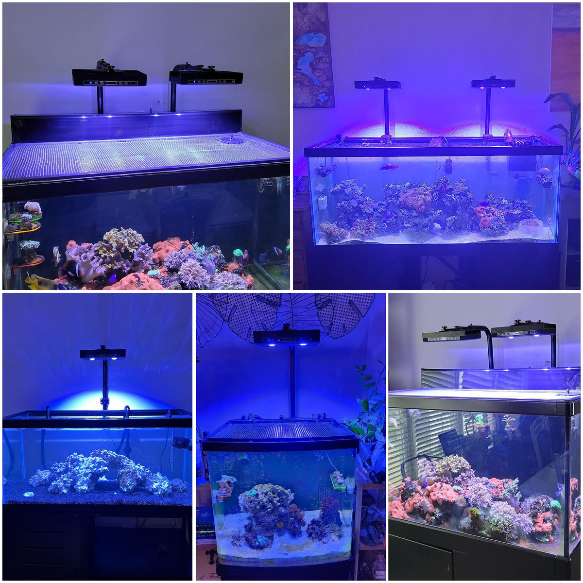 SMATFARM Aquarium Light - view 9