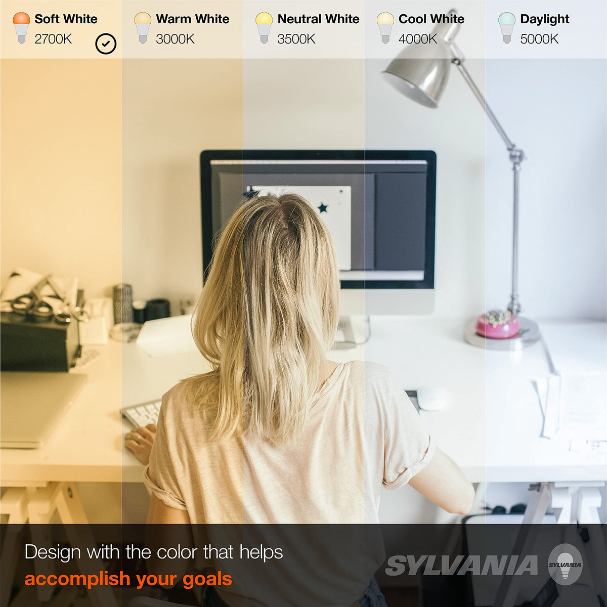 LEDVANCE Sylvania ECO LED A19 Light Bulb