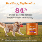 Zesty Paws Hip and Joint Supplement for Dogs