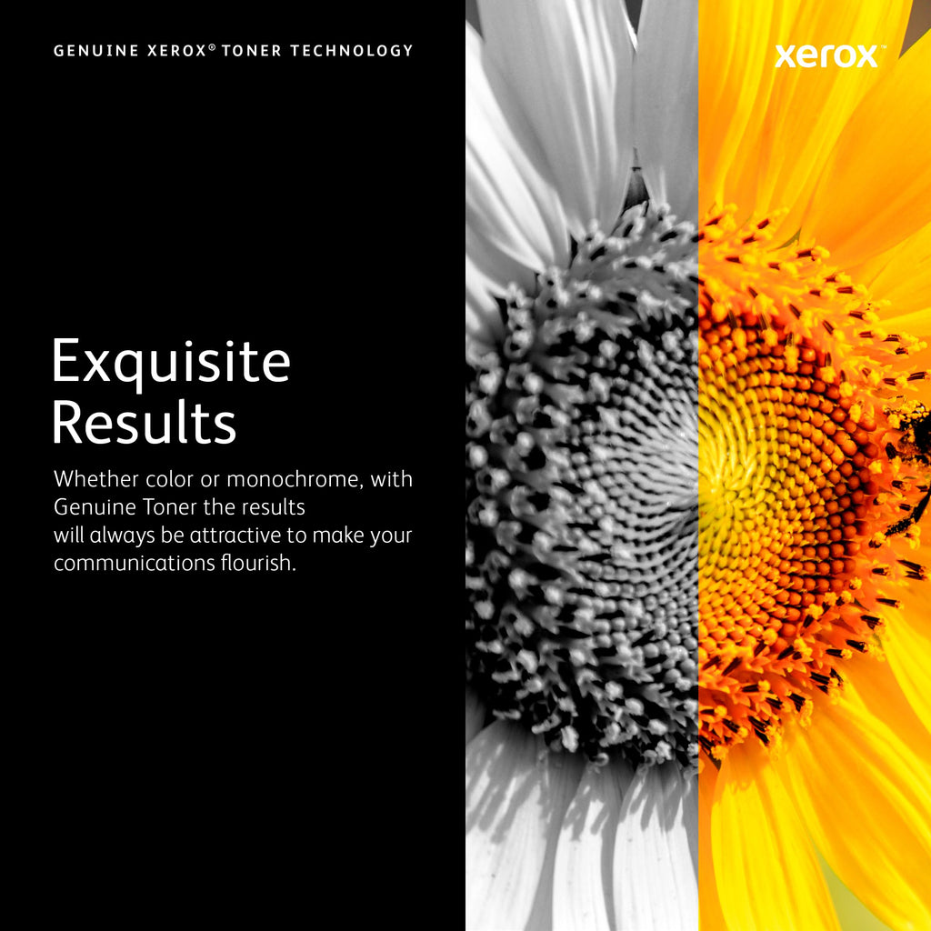 Xerox VersaLink C625 High