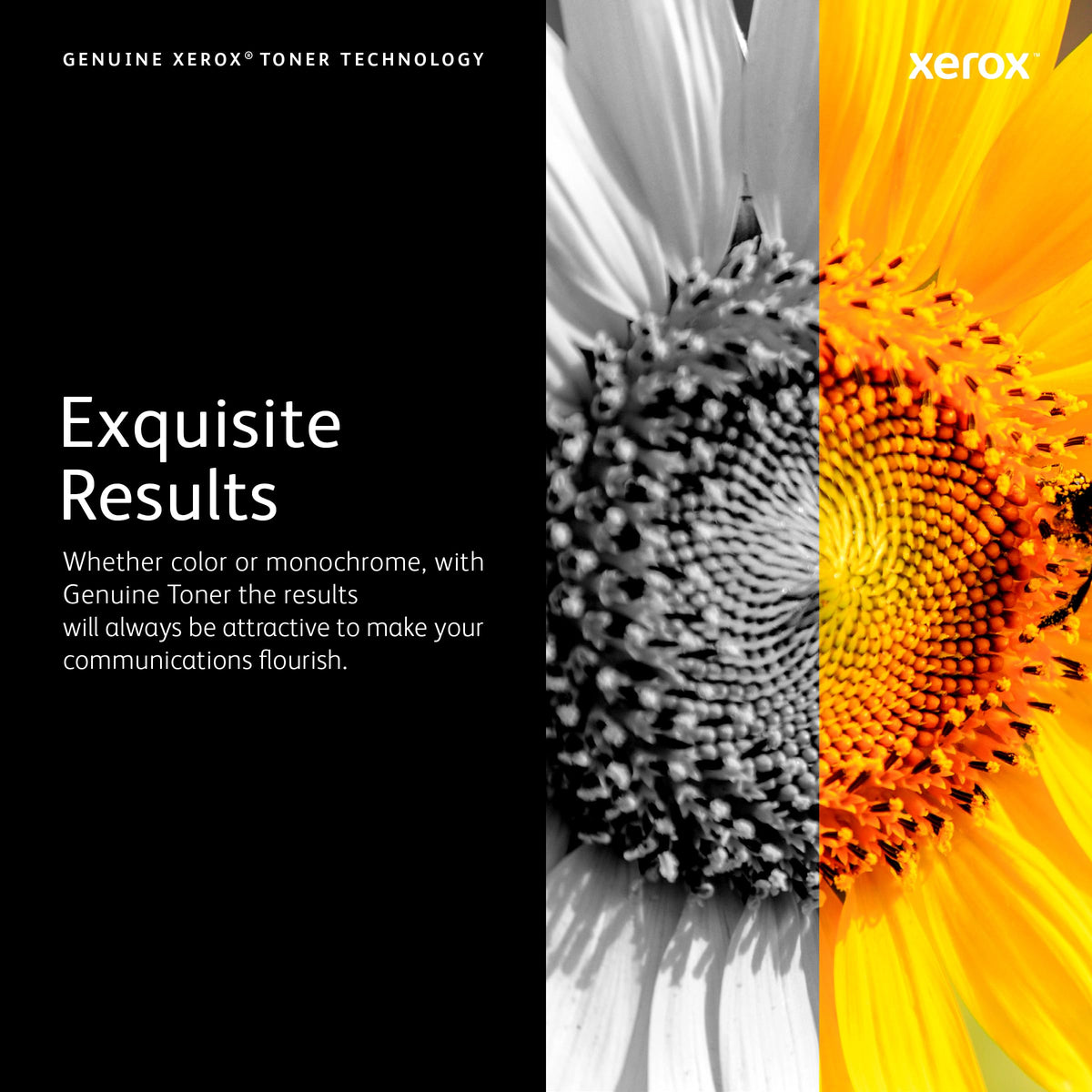 Xerox VersaLink C625 High