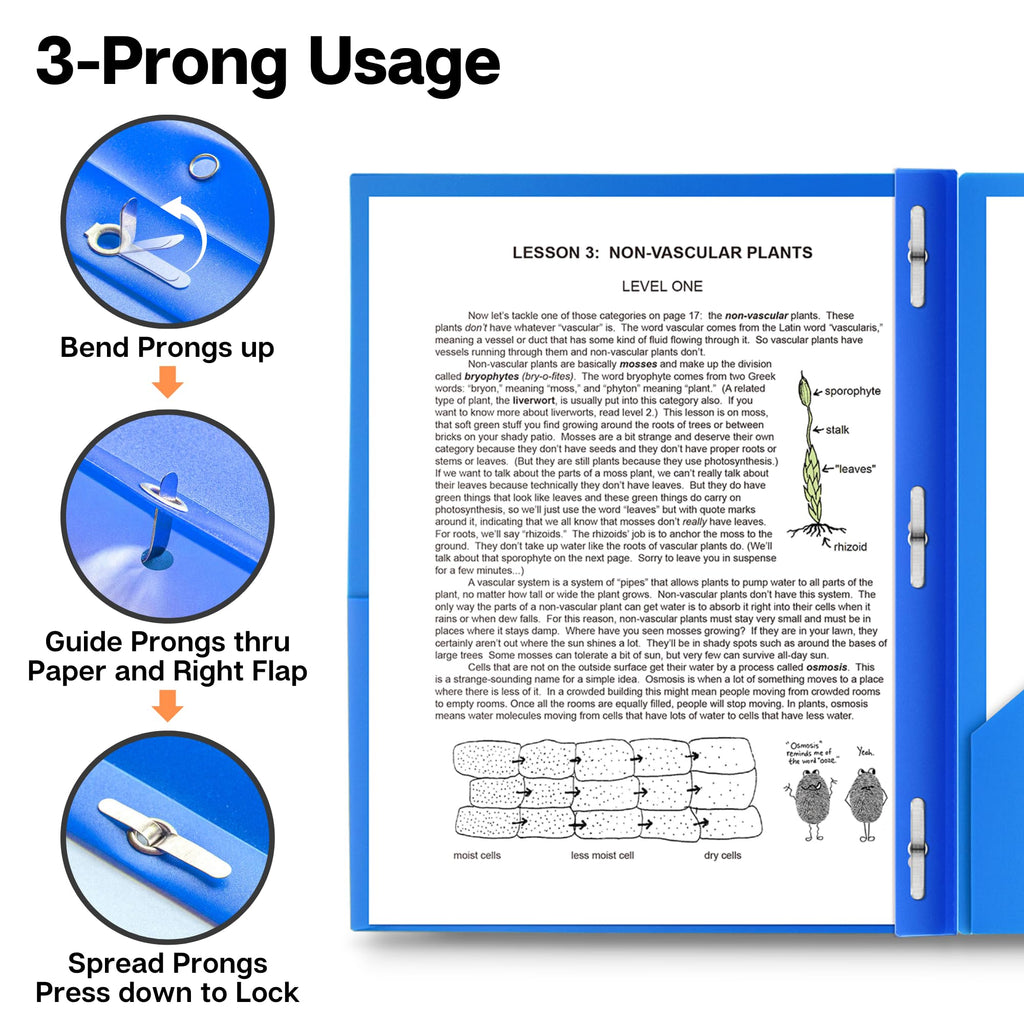 Dunwell Pocket Folders with Prongs