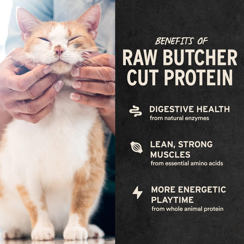 Vital Essentials Freeze Dried Raw Chicken Hearts Cat Treats, 0.8 oz Bag (9403)
