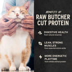 Vital Essentials Freeze Dried Raw Chicken Hearts Cat Treats, 0.8 oz Bag (9403)