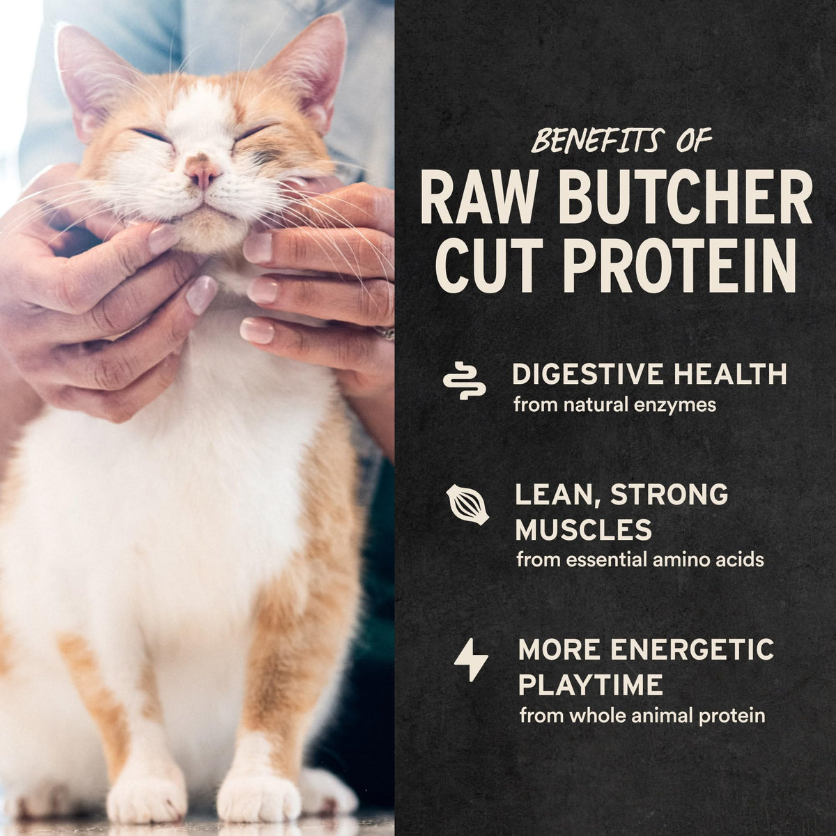 Vital Essentials Freeze Dried Raw Chicken Hearts Cat Treats, 0.8 oz Bag (9403)