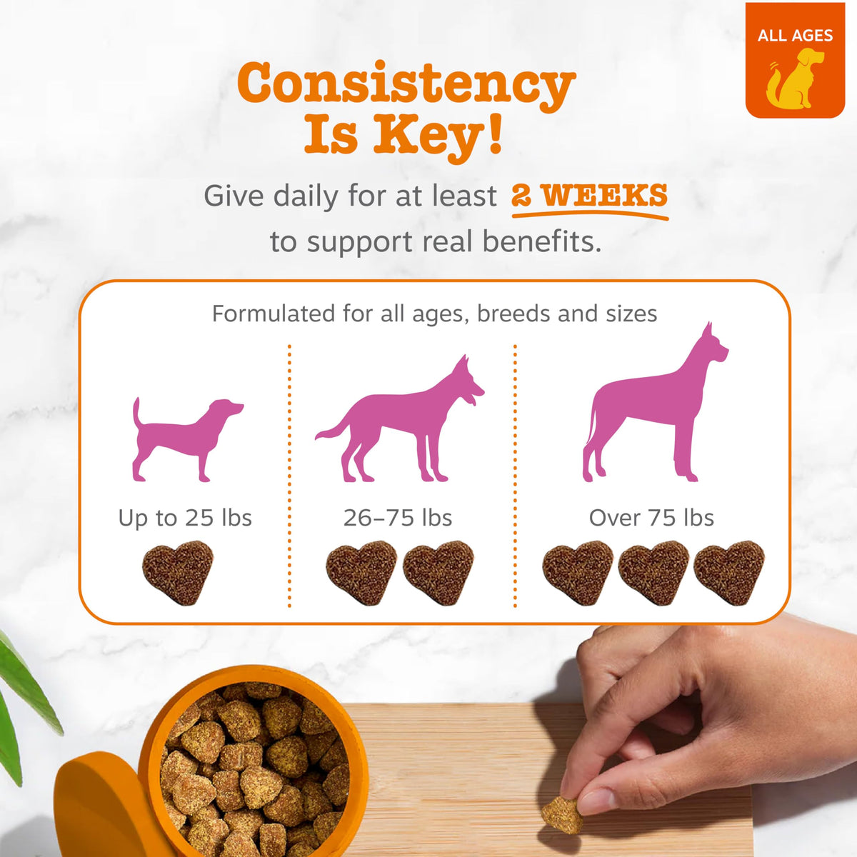 Zesty Paws Hip and Joint Supplement for Dogs