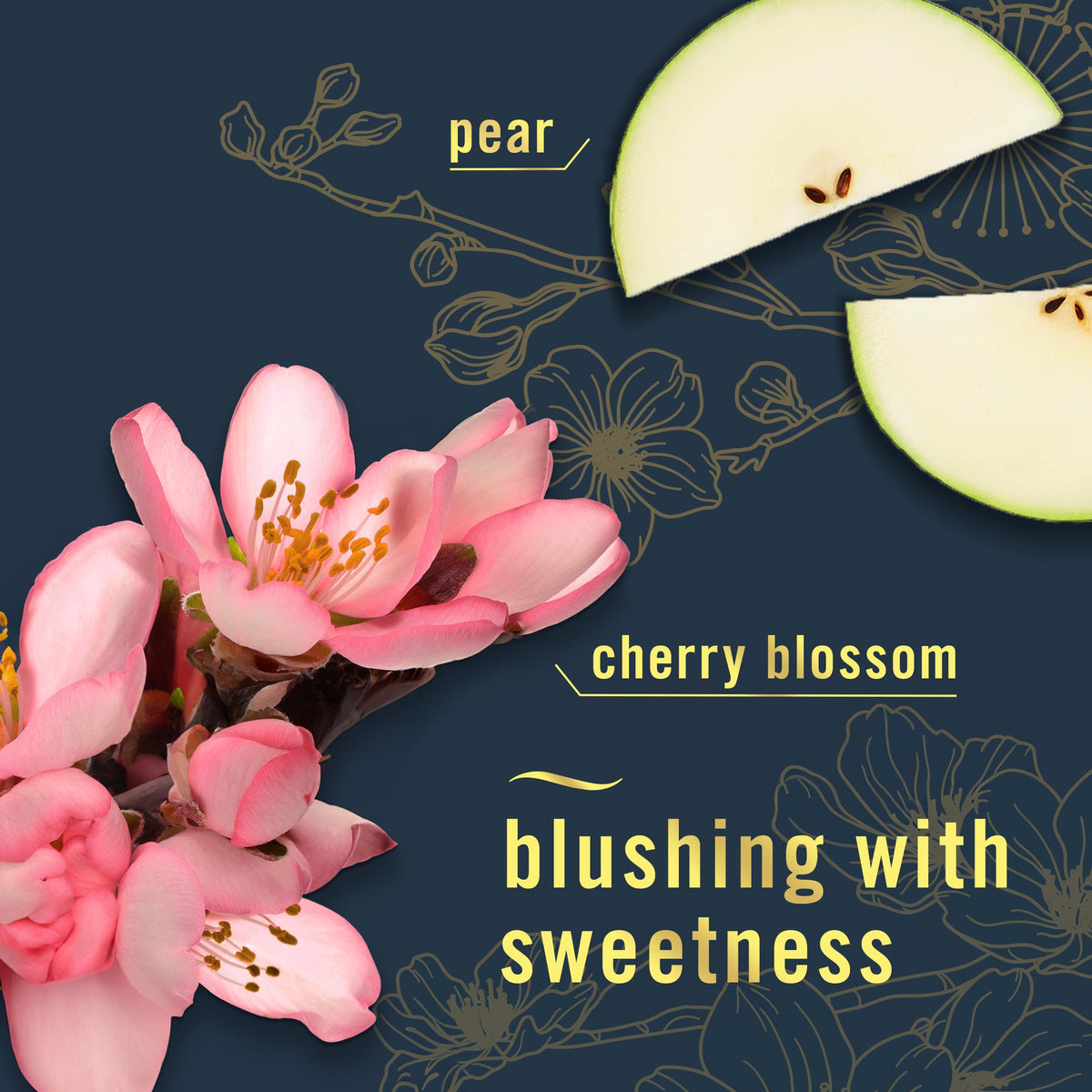 Febreze Odor-Fighting Air Freshener Spray, Room Spray, Japanese Cherry Blossom and (additional view 5)