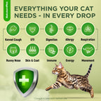 Cat Antibiotic for Infections, UTIs, Respiratory Moments, Cold, & Allergies | Antibiotics (additional view 1)