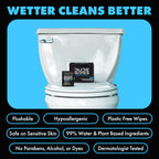 DUDE Wipes On-The-Go Unscented Adult Flushable Travel Wipes, – 60 Count (DW-30-2) (Pack of 2)