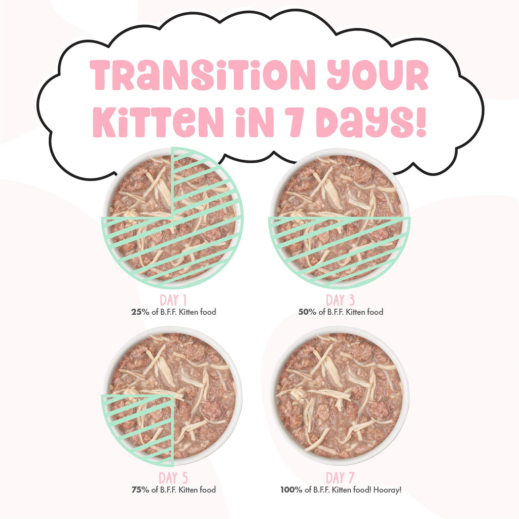 Weruva B.F.F. Kitten Wet Food