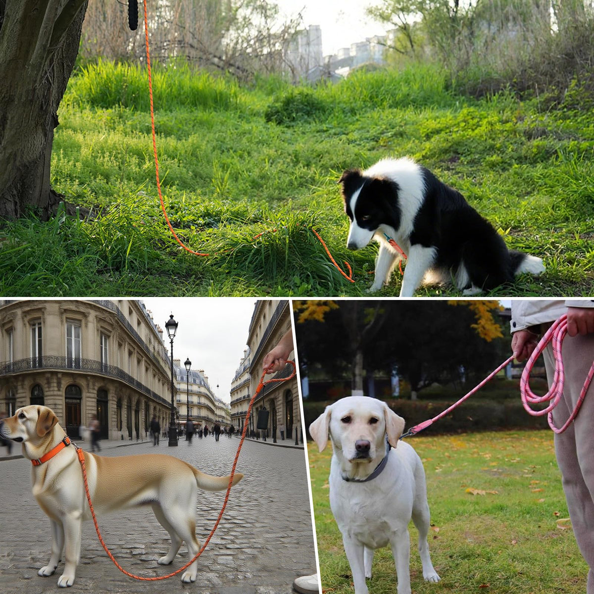 Tairro Long Dog Training Leash，Heavy Duty Reflective Rope Lead for Small Medium Large Dogs ，6FT 10FT 15FT 30FT 50FT for Training, Walking, Backyard, Camping
