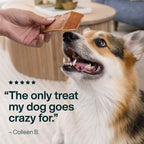 JustFoodForDogs Healthy Dog Treats