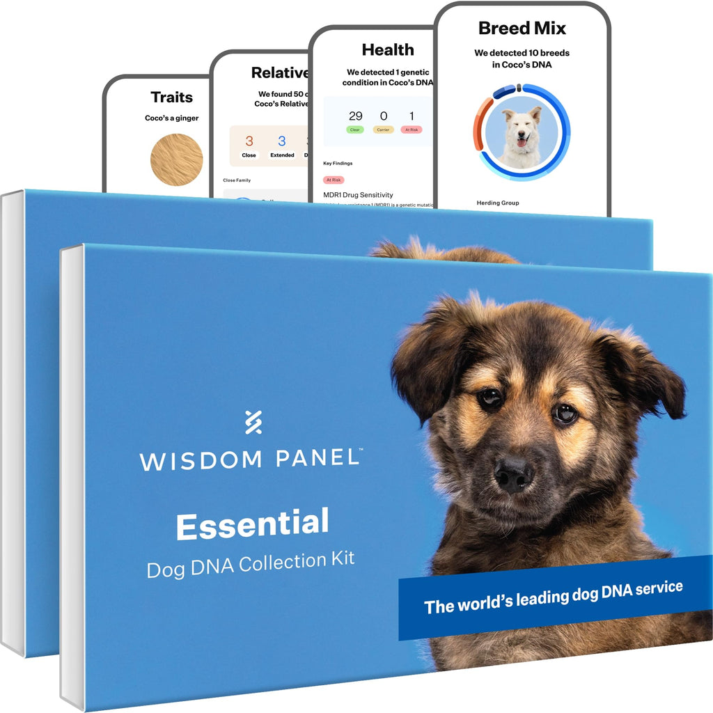 Wisdom Panel Essential Dog DNA Test, 430+ Breeds, 30 Health Tests