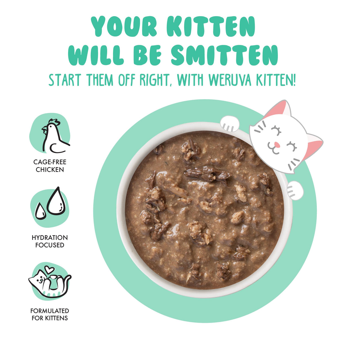 Weruva B.F.F. Kitten Wet Food