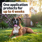 Amazon Basics Preventative Flea, Tick & Mosquito Topical Treatment for Large Dogs (21-55 (additional view 3)