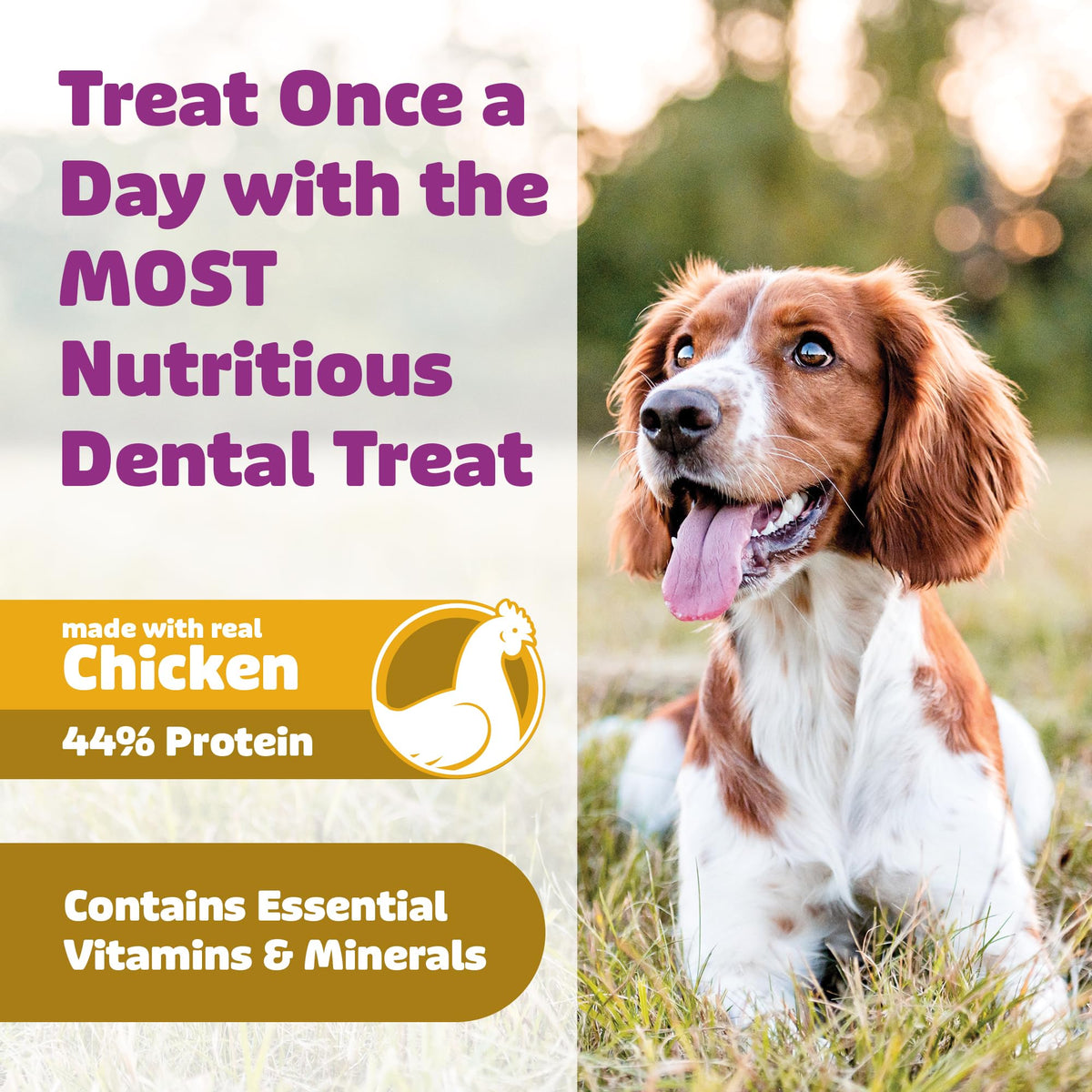 Yummy Combs Dog Dental Treats – Vet VOHC Approved – Delicious Chicken Protein – Removes Tartar with Cleaning Comb Shape