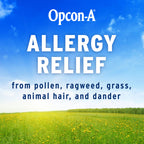 Opcon-A Allergy Eye Drops, Antihistamine and Redness Relief for Itchy, Red Eyes, Soothes Irritation from Pollen (Pack of 2)