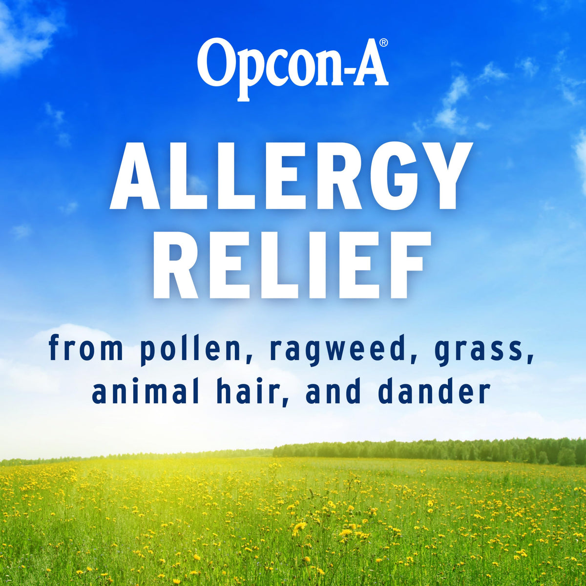 Opcon-A Allergy Eye Drops, Antihistamine and Redness Relief for Itchy, Red Eyes, Soothes Irritation from Pollen (Pack of 2)
