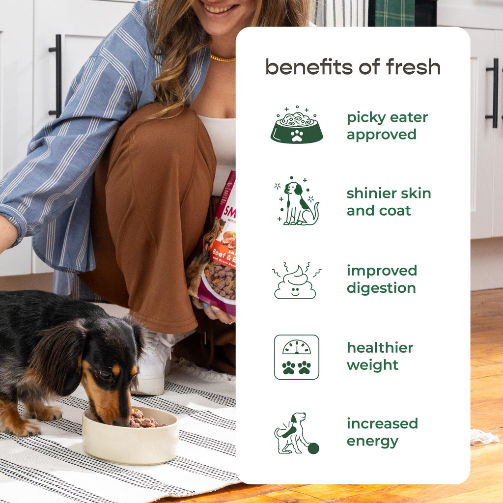 Freshpet Healthy & Natural Food for Small Dogs/Breeds, Fresh Grain Free Chicken Recipe, 1lb, Yellow (6-27975-01204-5)