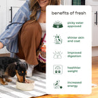Freshpet Healthy & Natural Food for Small Dogs/Breeds, Fresh Grain Free Chicken Recipe, 1lb, Yellow (6-27975-01204-5)